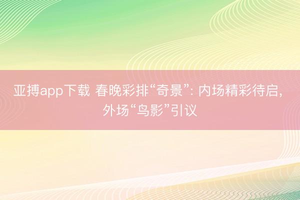 亚搏app下载 春晚彩排“奇景”: 内场精彩待启, 外场“鸟影”引议