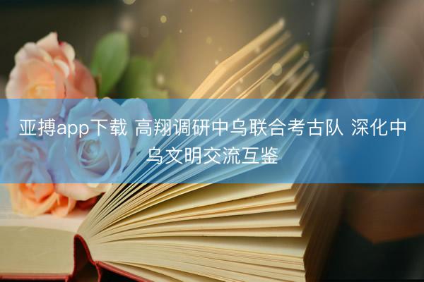 亚搏app下载 高翔调研中乌联合考古队 深化中乌文明交流互鉴