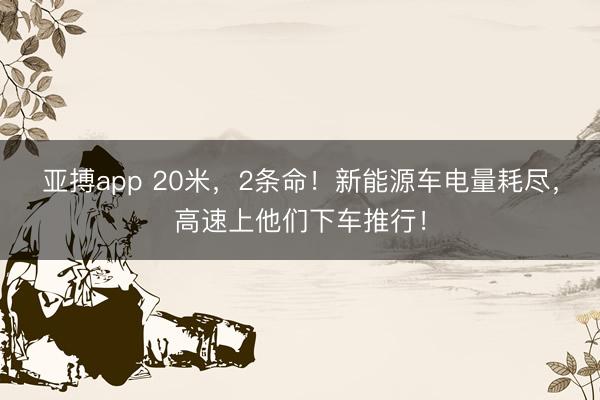 亚搏app 20米，2条命！新能源车电量耗尽，高速上他们下车推行！