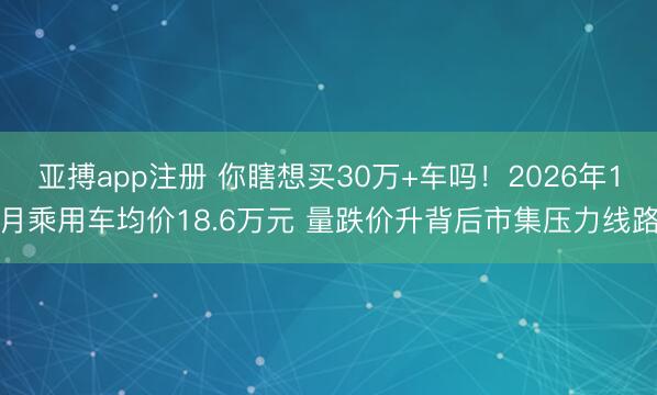 亚搏app注册 你瞎想买30万+车吗！2026年1月乘用车均价18.6万元 量跌价升背后市集压力线路