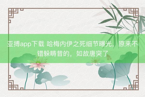 亚搏app下载 哈梅内伊之死细节曝光，原来不错躲畴昔的，如故唐突了