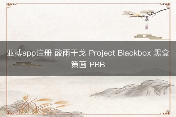 亚搏app注册 酸雨干戈 Project Blackbox 黑盒策画 PBB