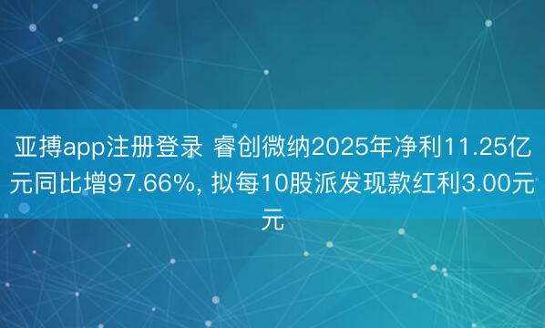 亚搏app注册登录 睿创微纳2025年净利11.25亿元同比增97.66%, 拟每10股派发现款红利3.00元