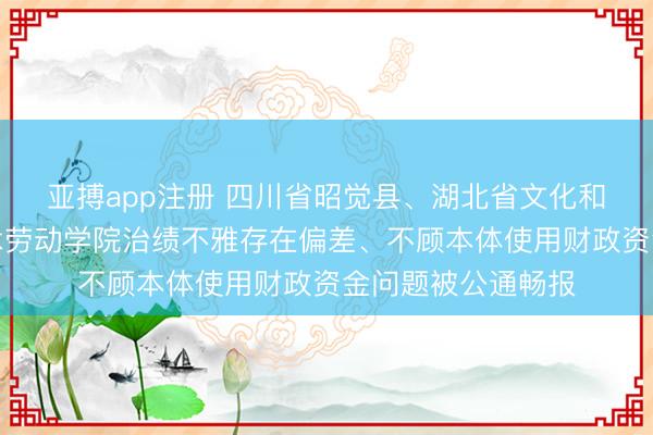 亚搏app注册 四川省昭觉县、湖北省文化和旅游厅及湖北艺术劳动学院治绩不雅存在偏差、不顾本体使用财政资金问题被公通畅报