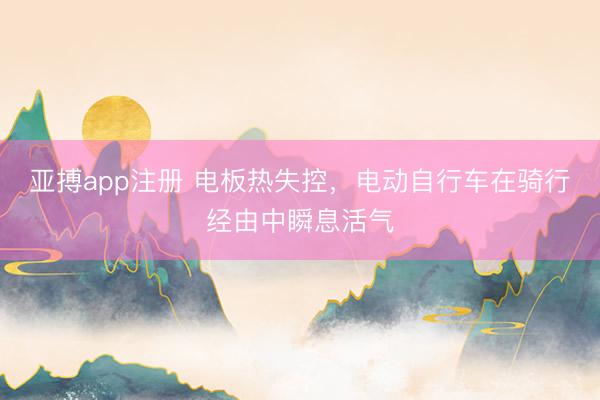 亚搏app注册 电板热失控,电动自行车在骑行经由中瞬息活气