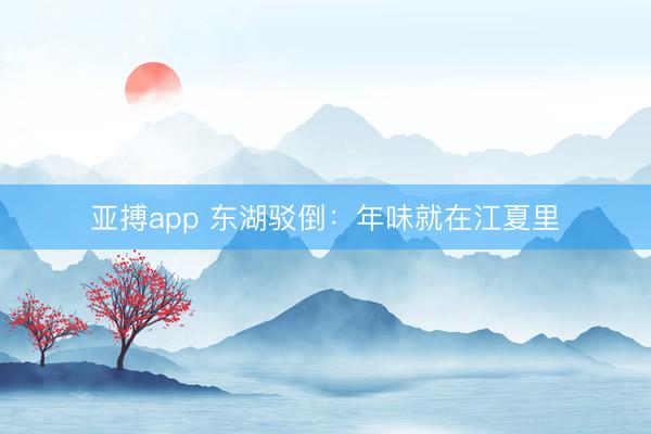亚搏app 东湖驳倒：年味就在江夏里