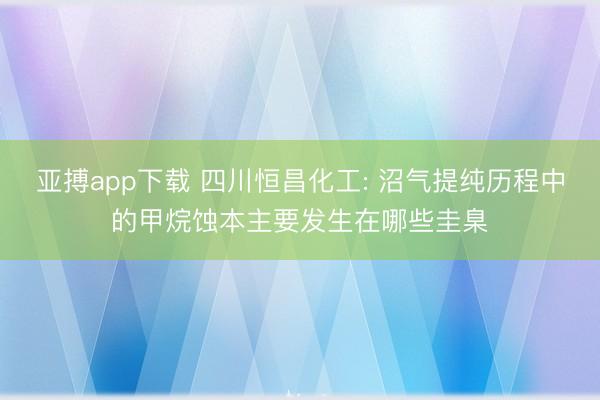 亚搏app下载 四川恒昌化工: 沼气提纯历程中的甲烷蚀本主要发生在哪些圭臬