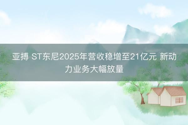 亚搏 ST东尼2025年营收稳增至21亿元 新动力业务大幅放量