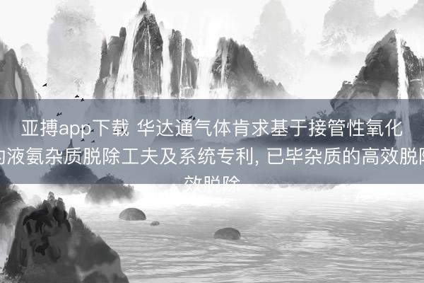 亚搏app下载 华达通气体肯求基于接管性氧化的液氨杂质脱除工夫及系统专利， 已毕杂质的高效脱除