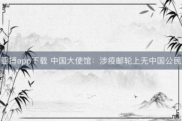 亚搏app下载 中国大使馆：涉疫邮轮上无中国公民