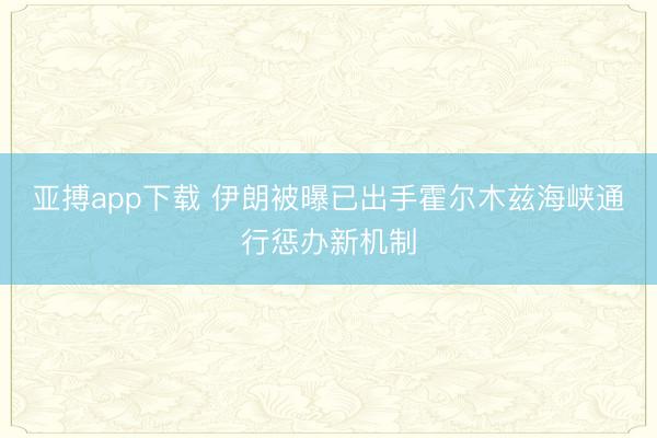 亚搏app下载 伊朗被曝已出手霍尔木兹海峡通行惩办新机制