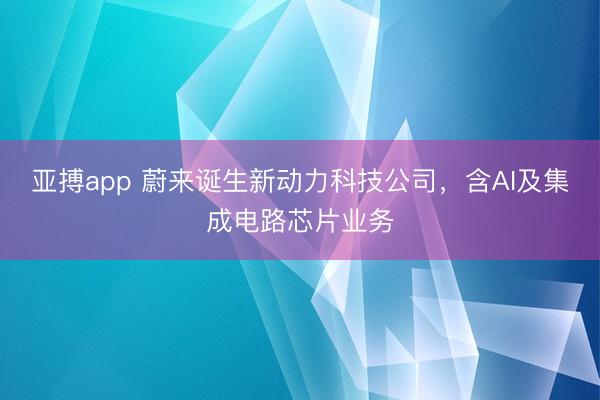 亚搏app 蔚来诞生新动力科技公司，含AI及集成电路芯片业务
